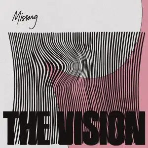 cover art the vision missing