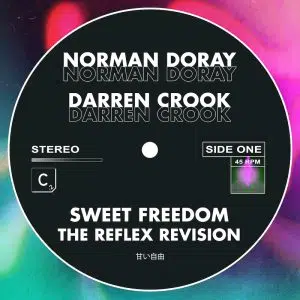 cover art The reflex remix of Norman Doray