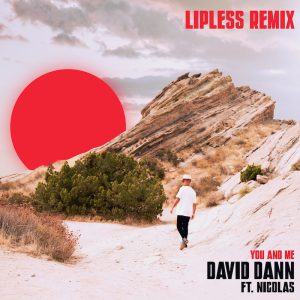 cover art lipless remix of David Dann