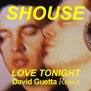 David guetta remix of SHOUSE