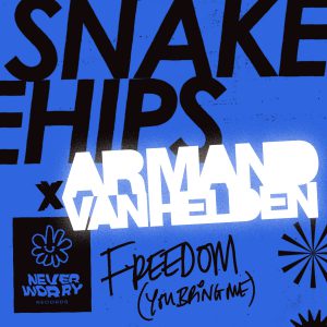 cover art snakehips x Armand van helden