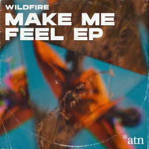 cover art wildfire