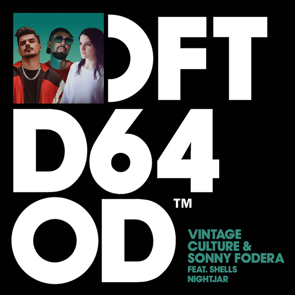 Vintage Culture & Sonny Fodera “Nightjar” ft SHELLS