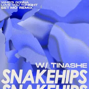 Set Mo Remix of Snakehips "Who's Gonna Love You Tonight" aria club chart dj promo australia globalprpool