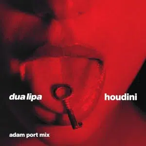 Adam Port Remix of Dua Lipa "Houdini" Cover art aria club chart dj promo radio promotion australia globalprpool dance music electronic music