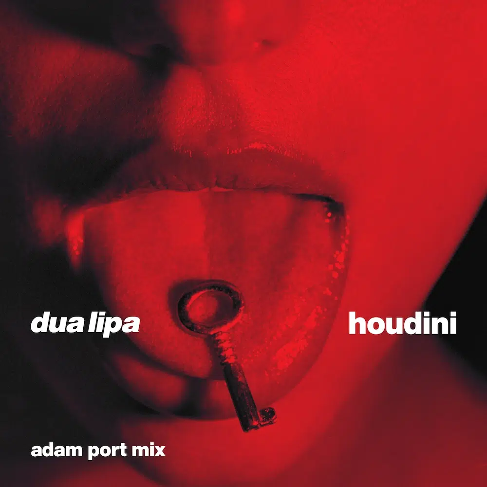 Adam Port Remix of Dua Lipa “Houdini”