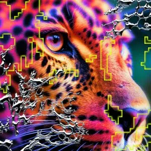 Vintage Culture, Maverick Sabre, Tom Breu "Weak" Cover art aria club chart dj promo radio promotion australia globalprpool dance music electronic music