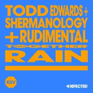 Todd Edwards x Shermanology x Rudimental "Rain" Cover art dance music electronic music