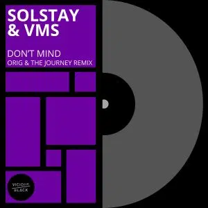 Solstay & VMS "Dont Mind" Cover art dance music electronic music