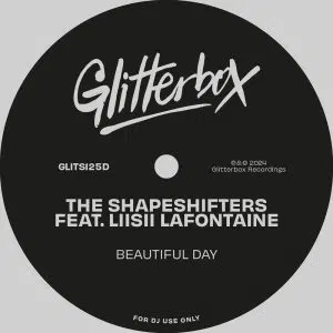 The Shapeshifters ft Liisi Lafontaine "Beautiful Day" Cover art dance music electronic music