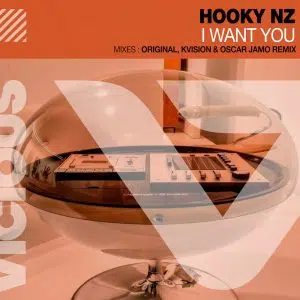Hooky NZ 'I Want You' Cover art dance music electronic music